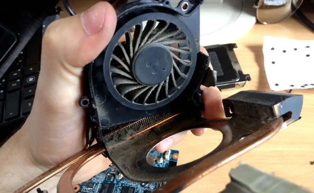 Чистка ноутбука HP от пыли в Шушарах | Замена термопасты