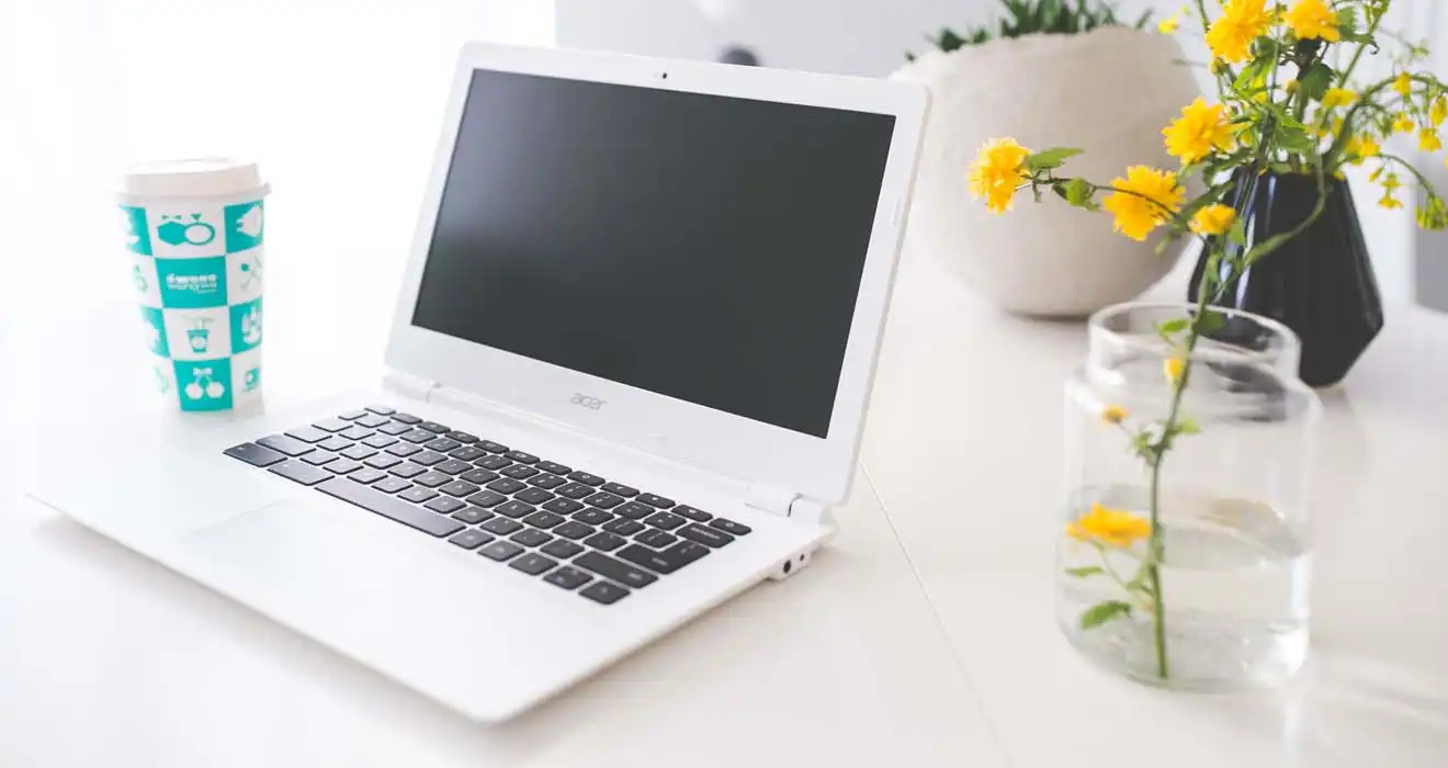 Ремонт ноутбуков Acer в Шушарах