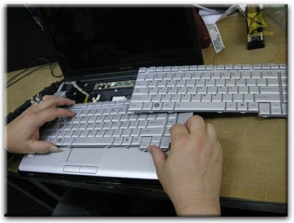 Ремонт клавиатуры на ноутбуке Toshiba в Шушарах