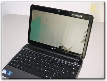 Замена матрицы ноутбука Acer в Шушарах