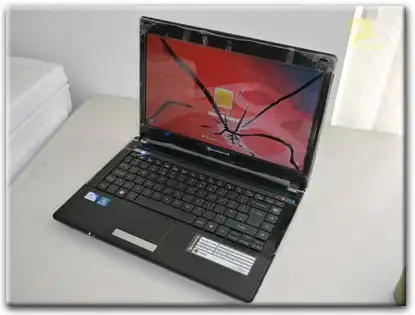 Замена матрицы Packard Bell в Шушарах